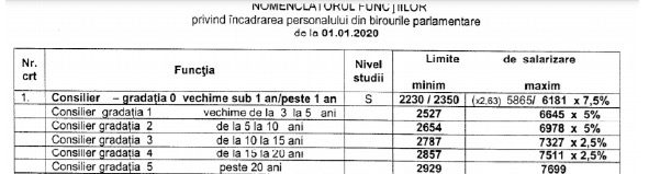 Venit burt